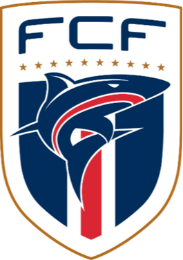 https://img.ynnkdl.com/img/football/team/b78fbb9123ed9633ac77215960a8a7b3.png